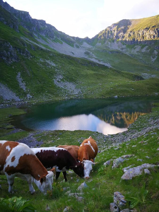 Апартаменты Moamoosgut Goriach  Экстерьер фото